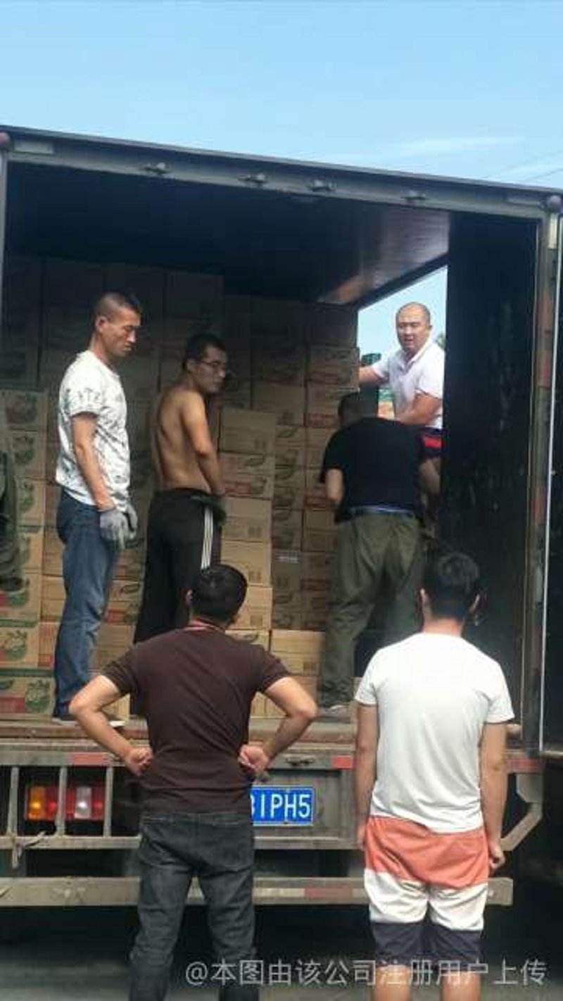 如何选择最适合你的设备搬运方案？